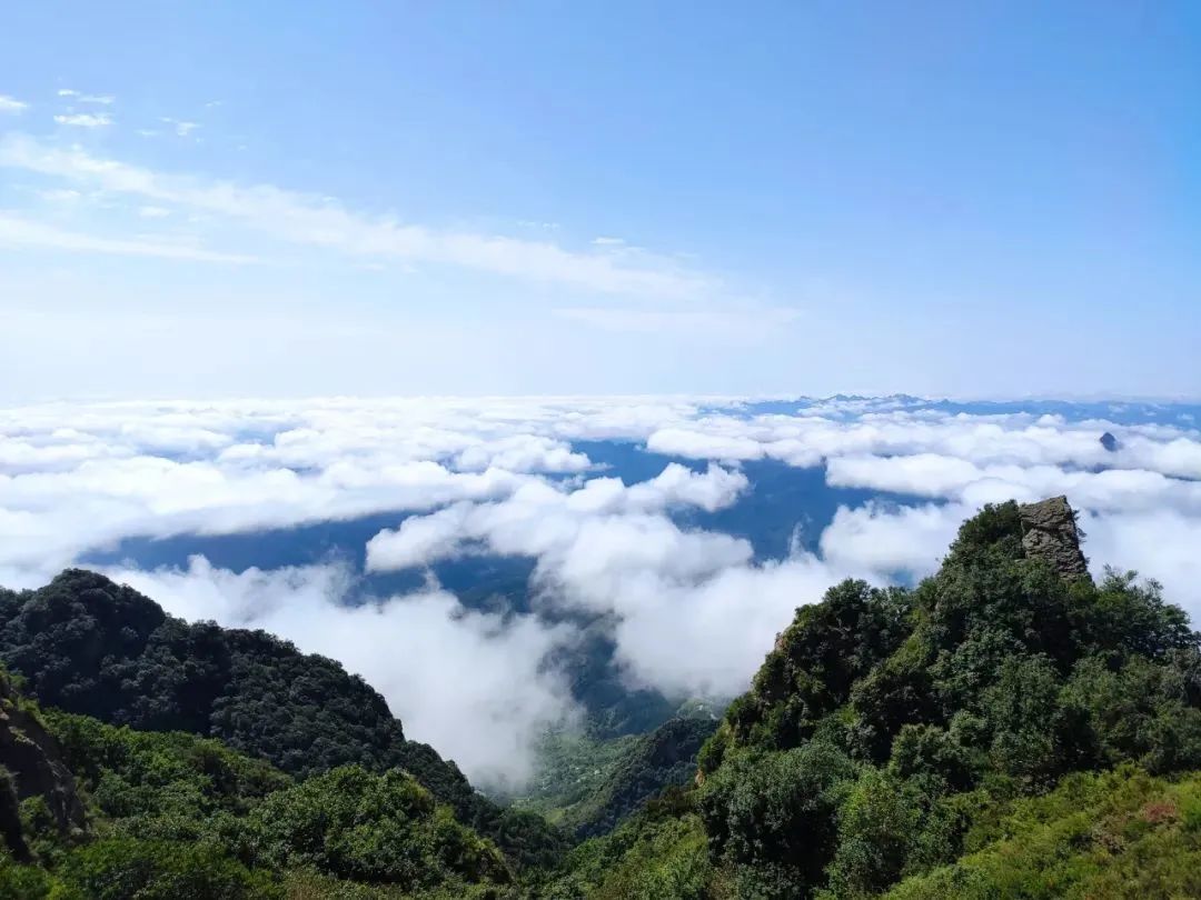 微信图片_20230317103713