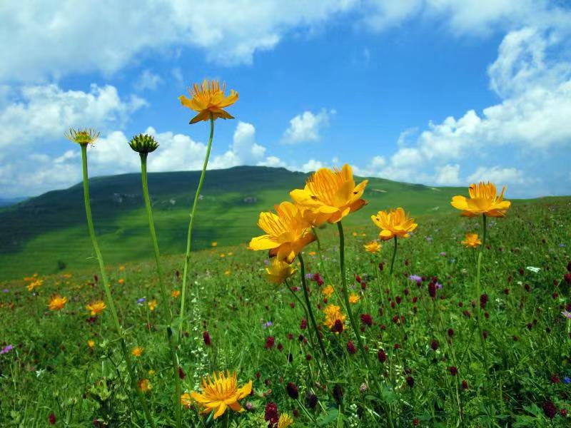 微信图片_20230308085645