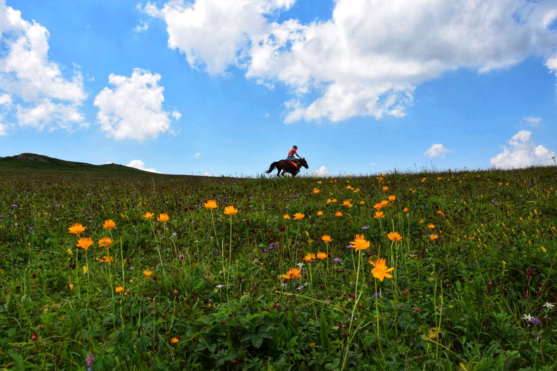 微信图片_20230308085629