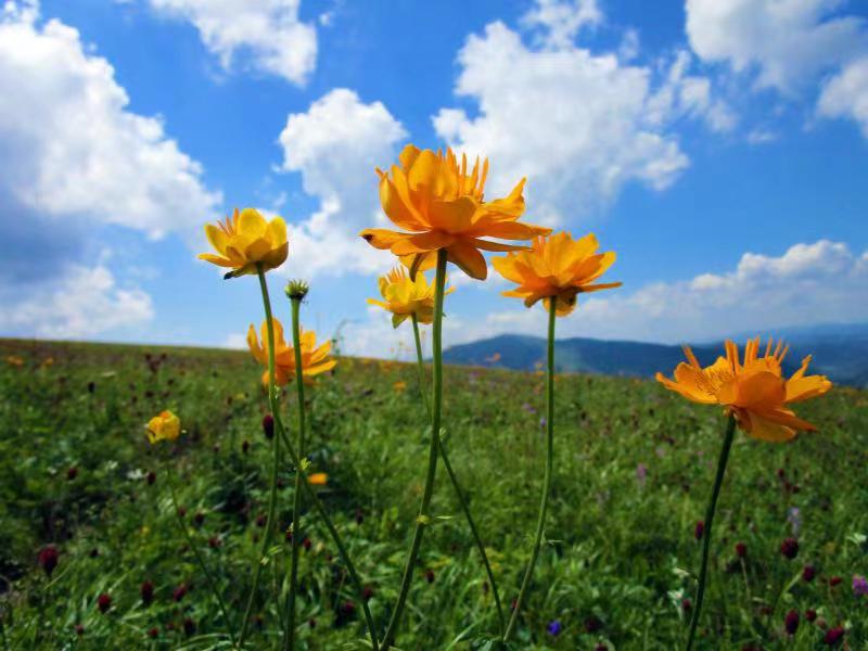 微信图片_20230308085522