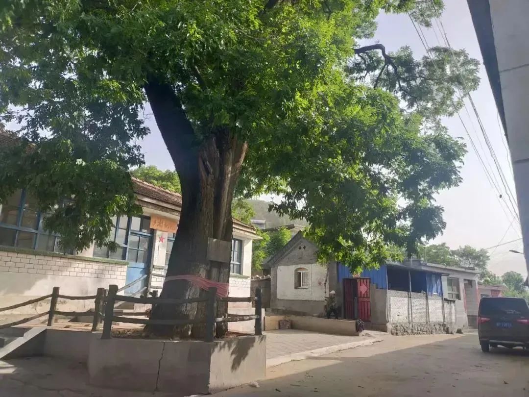 微信图片_20230317163043