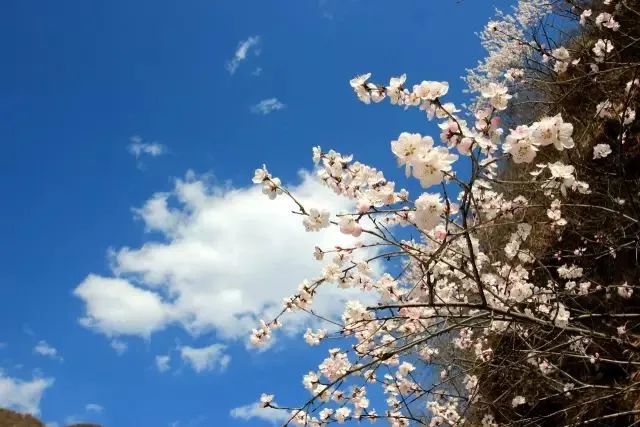 微信图片_20230317103721