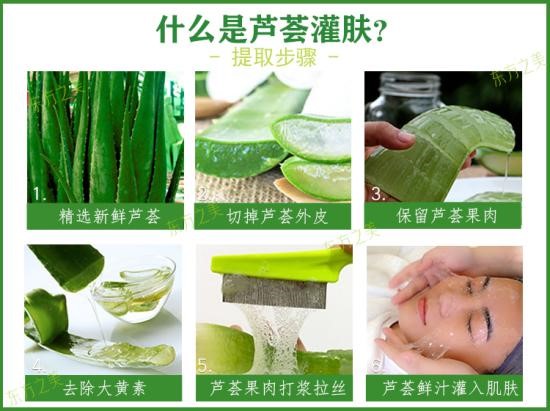 芦荟1
