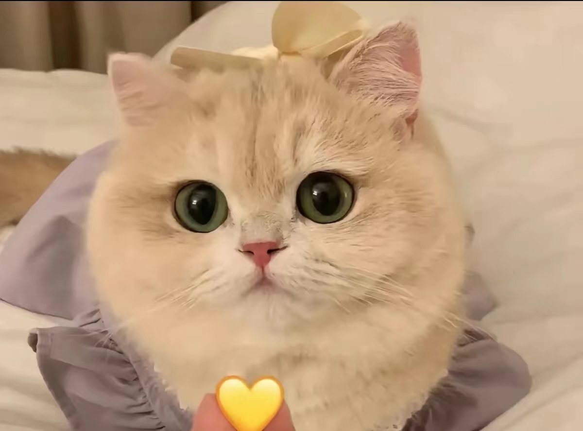 a0d96a0ae67390bc170895027dc8215