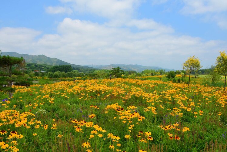 4b167318ac19a88155df211f86aaf194.jpg.cw750