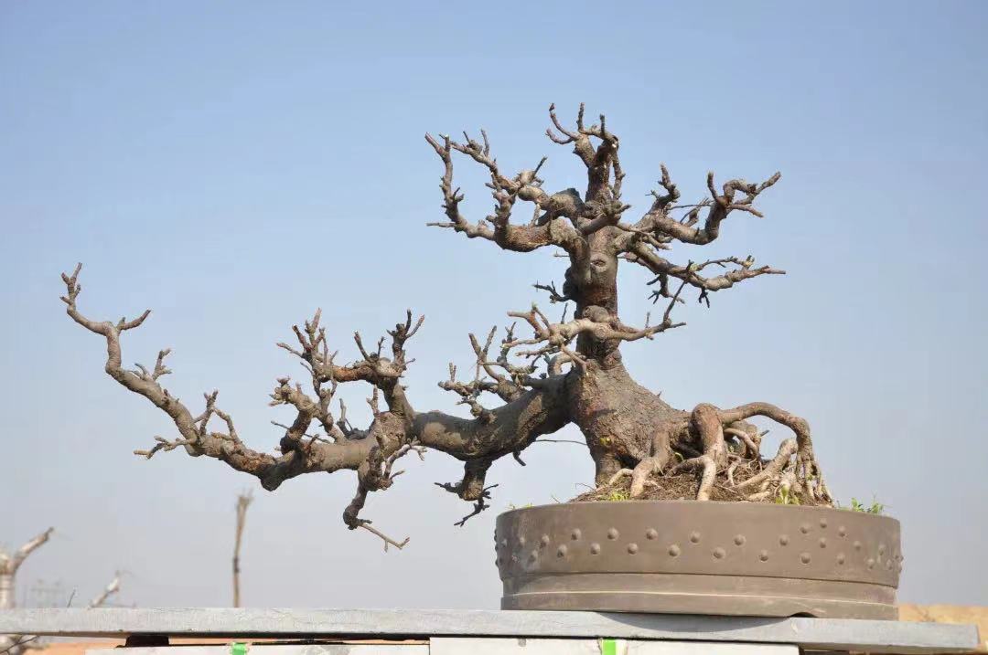 微信图片_20230315150943